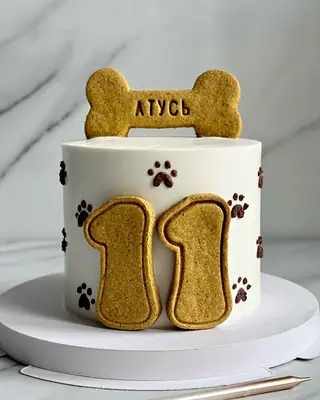 Тортик для собаки від Nosyk Cake